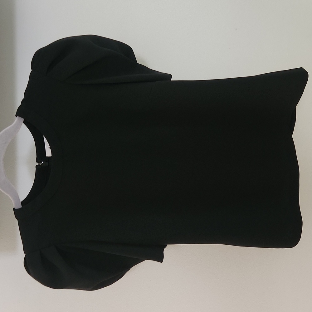 A.L.C Puff Sleeve Top